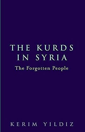 Курды в Сирии: забытые люди